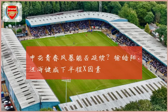 申花青春风暴能否延续？徐皓阳、汪海健成下半程X因素