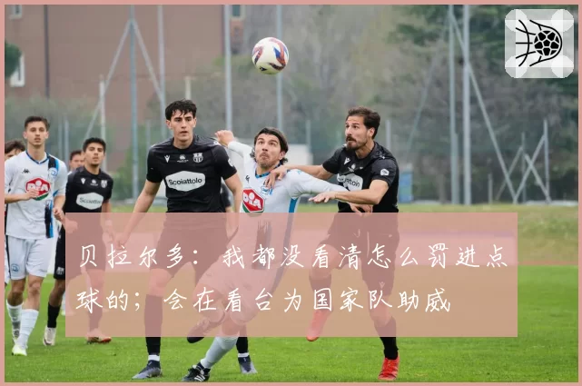 贝拉尔多：我都没看清怎么罚进点球的；会在看台为国家队助威