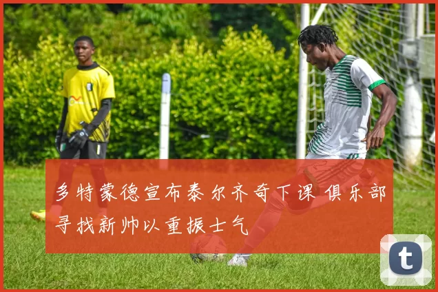 多特蒙德宣布泰尔齐奇下课 俱乐部寻找新帅以重振士气