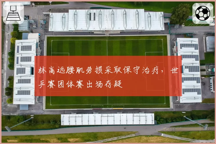 林高远腰肌劳损采取保守治疗，世乒赛团体赛出场存疑