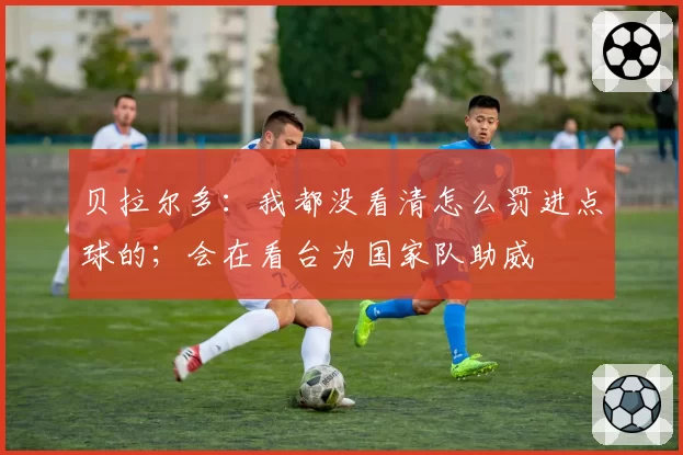 贝拉尔多：我都没看清怎么罚进点球的；会在看台为国家队助威