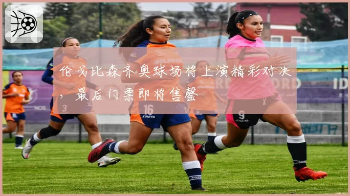 伦戈比森齐奥球场将上演精彩对决，最后门票即将售罄